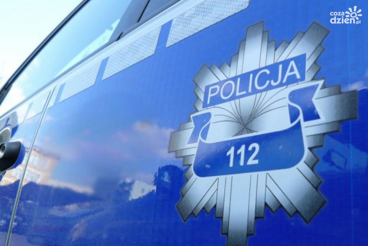 Dwóch chłopców trafiło na ruchliwą DK50