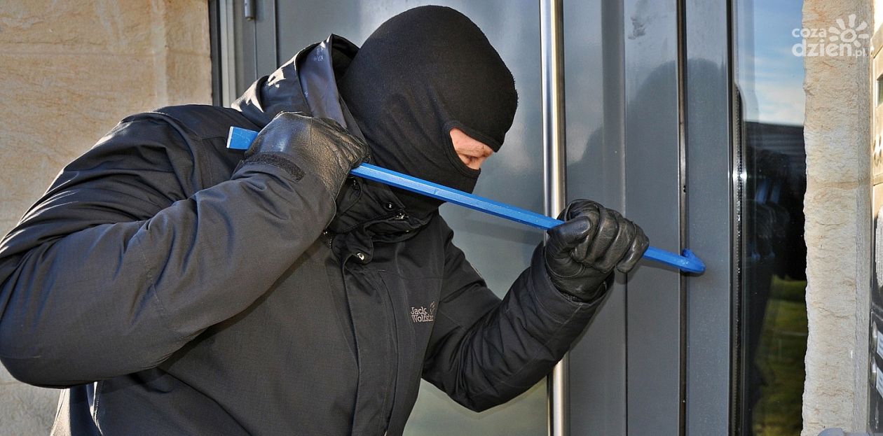 18-latek zatrzymany za włamanie i kradzież