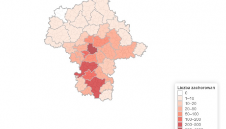 Koronawirus. Mazowsze publikuje mapę interaktywną
