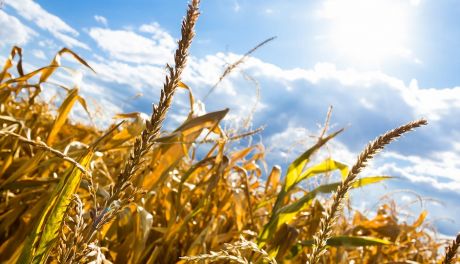 Nowe stacje meteo na Mazowszu. Ruszył nabór wniosków