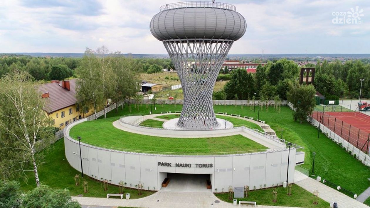 Ogródek na dachu Torusa. 