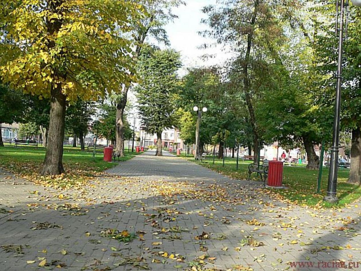 Wandale problemem Raciąża? 