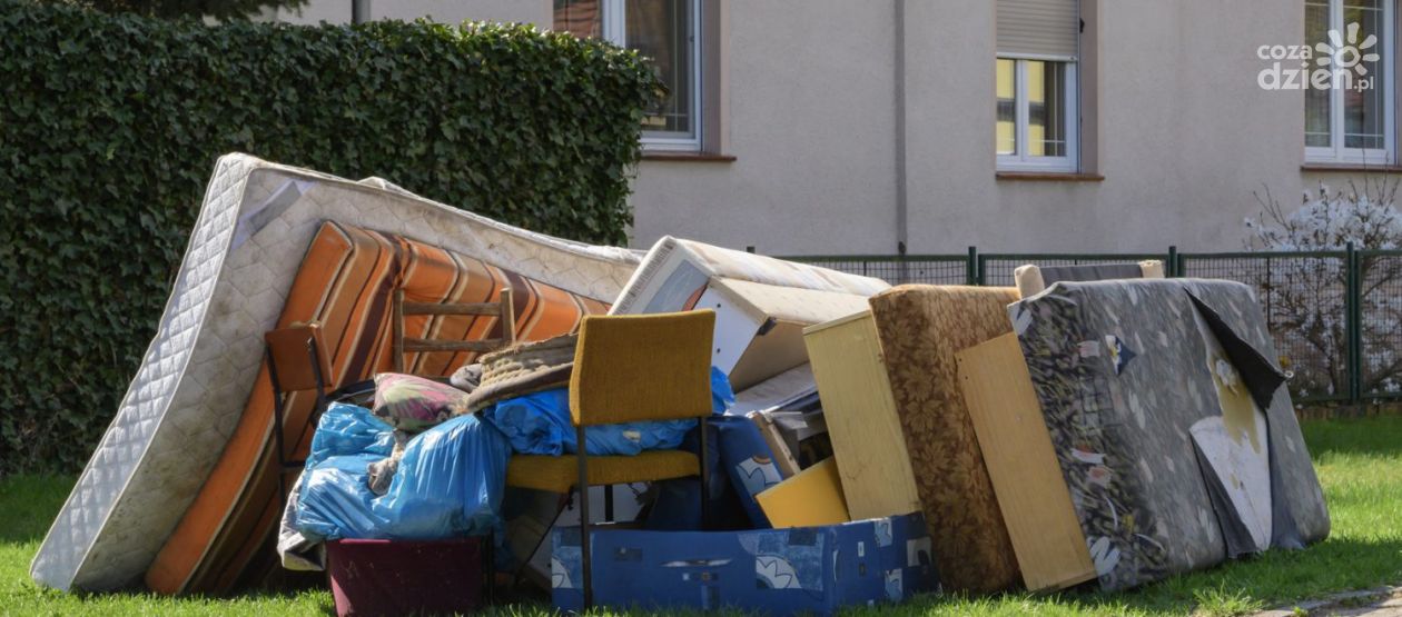 12 wersalek - rekord wiosennych porządków