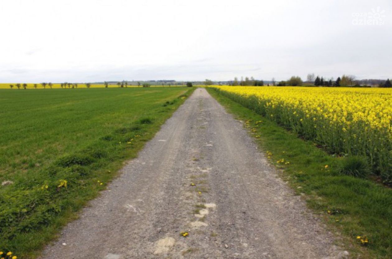 Dojazdówki do pól w regionie przejdą modernizacje