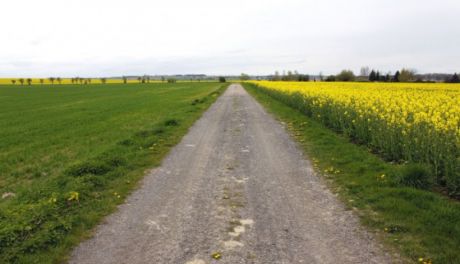 Dojazdówki do pól w subregionie ciechanowskim przejdą modernizacje (lista zadań)