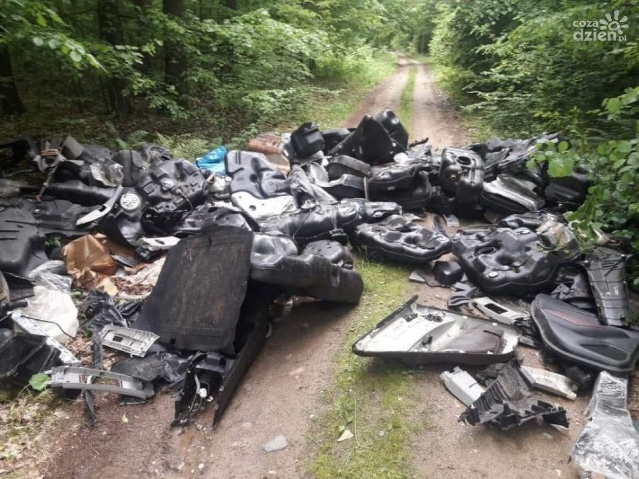 Części samochodowe w lekowskim lesie