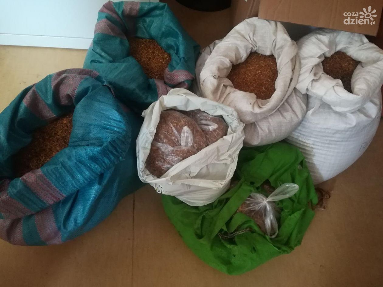 W piwnicy trzymał krajankę i nielegalne papierosy