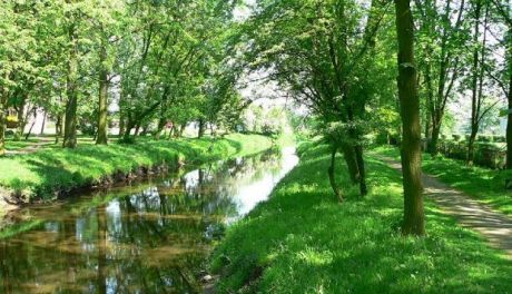 Duży park w Raciążu zmieni się nie do poznania