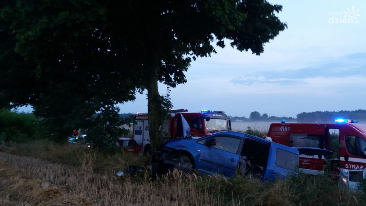Osobówka uderzyła w drzewo w Karniewie