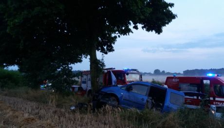 Osobówka uderzyła w drzewo w Karniewie