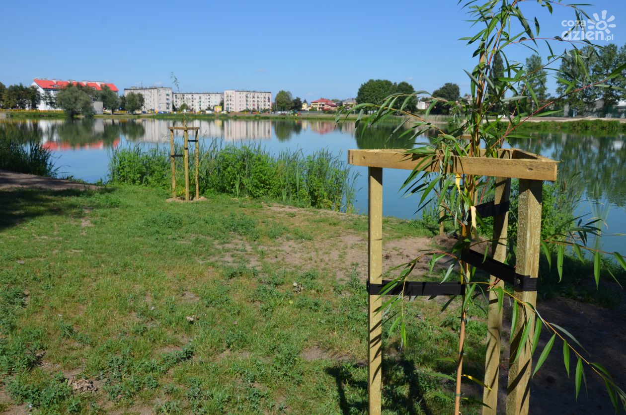 Czy płońszczanie wkrótce będą się kąpać w centrum miasta?