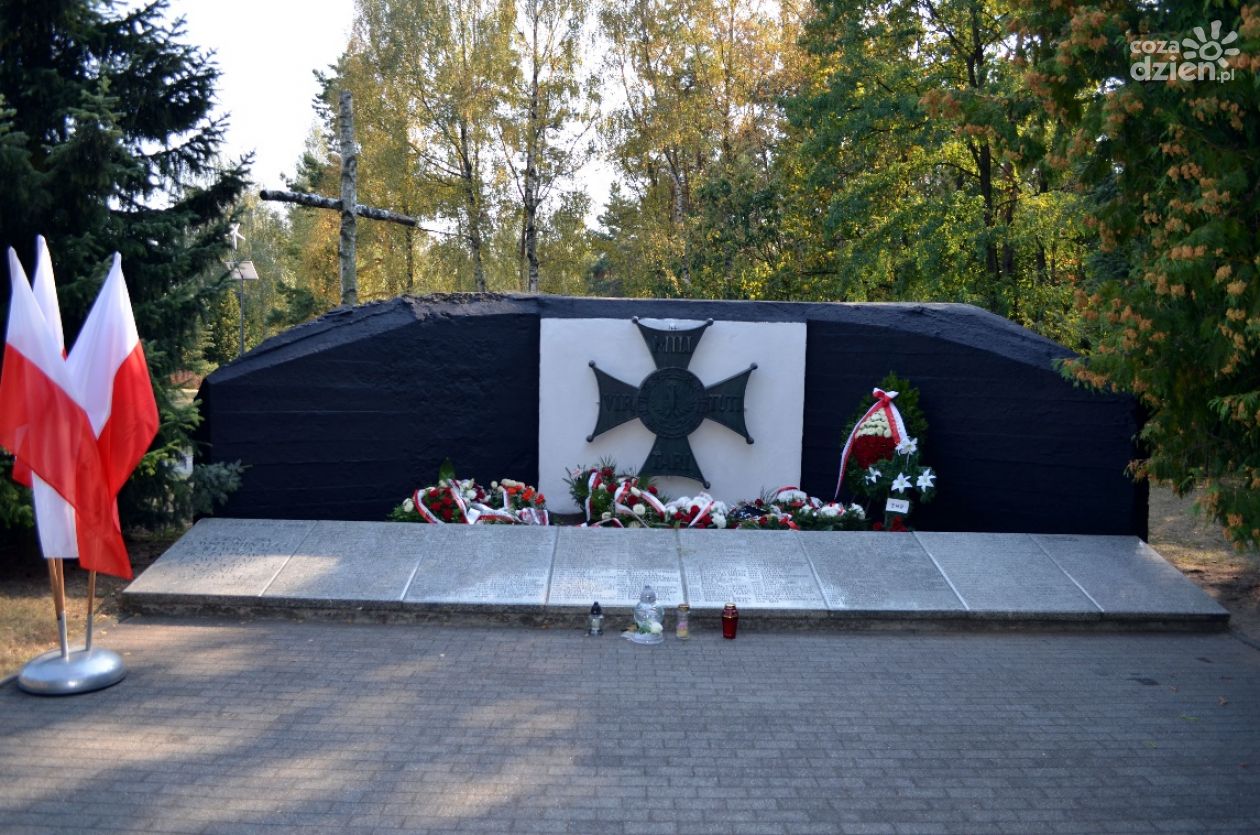 Nie będzie rekonstrukcji bitwy ani nalotu bombowego