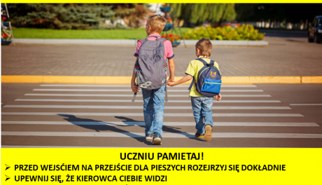 Kierowco! Nie polujemy na zebrach