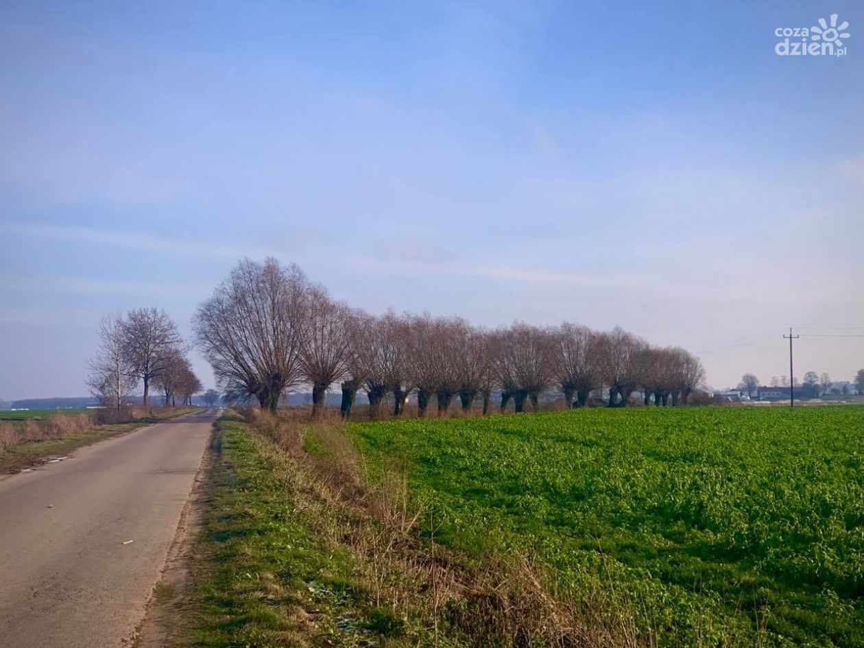 Przebudowa drogi na Opinogóra-Długołęka! 