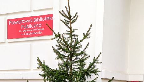 Przed Powiatową Biblioteką Publiczną wyrosła choinka. Jest jednak jeden problem...