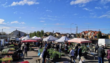 Płońsk. Małe targowisko przejdzie metamorfozę