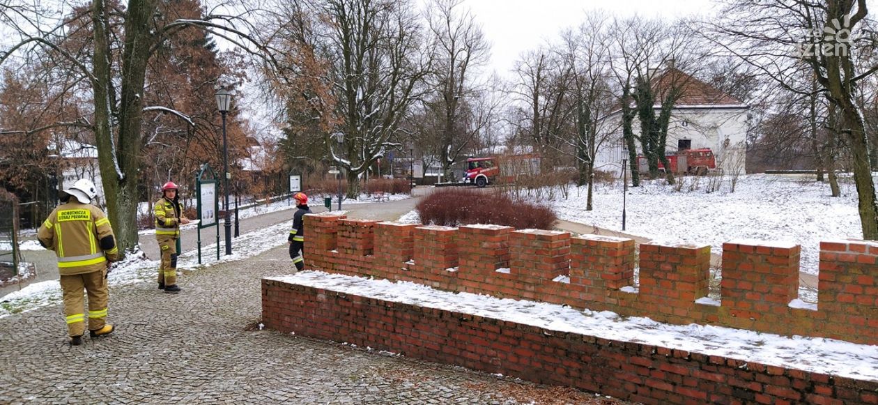Pożar w Muzeum Romantyzmu w Opinogórze?