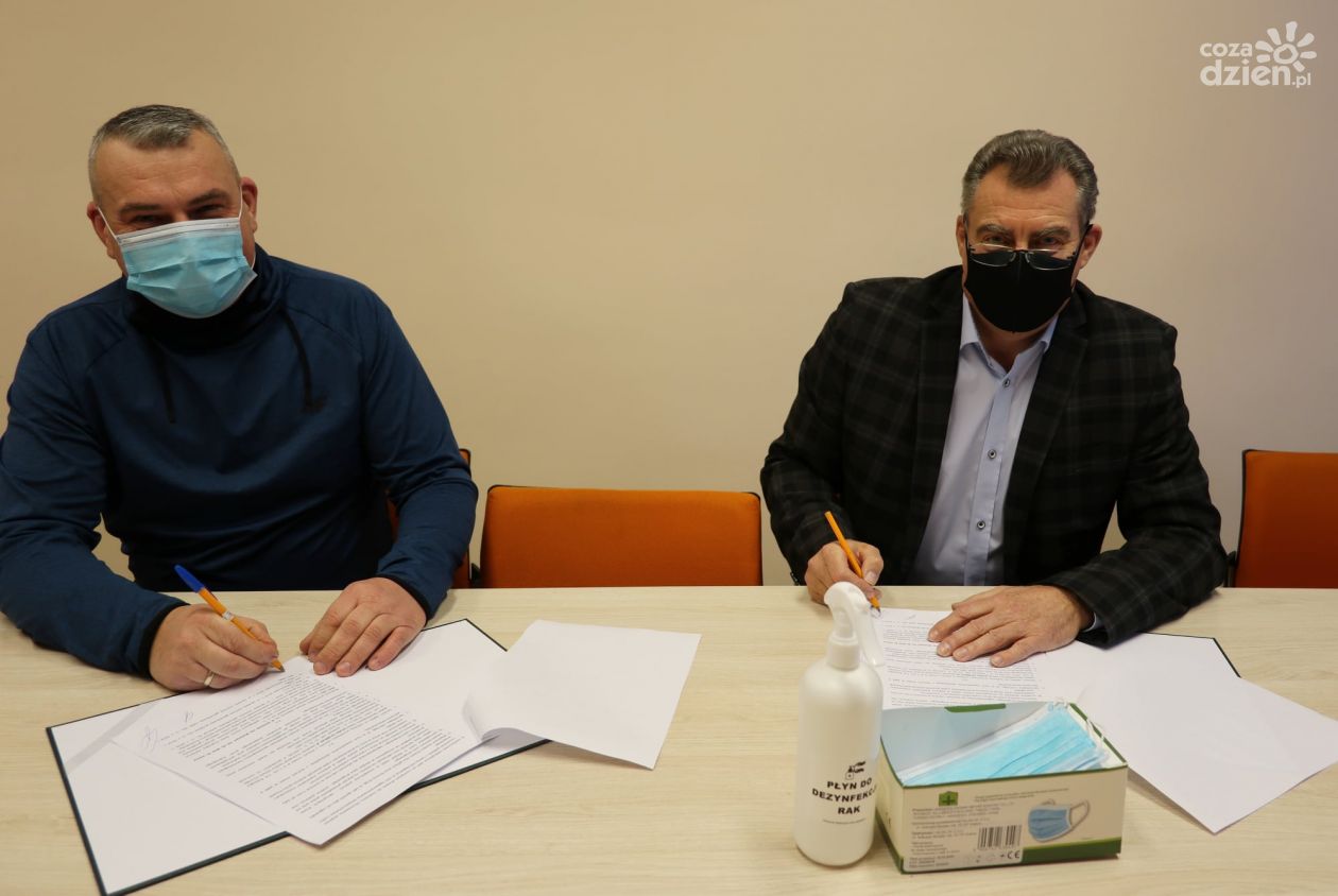 Umowa na wycinkę 167 drzew podpisana