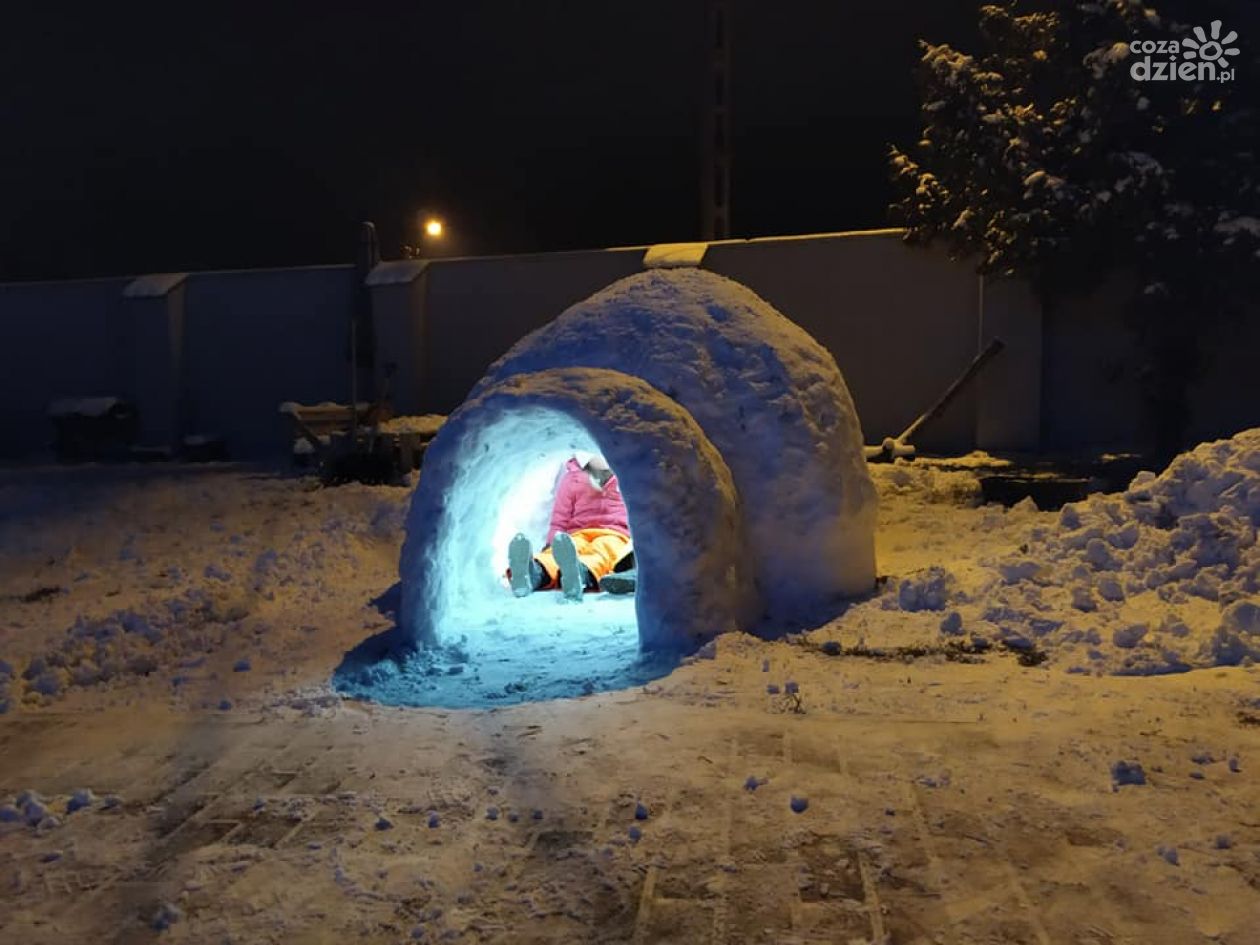 Igloo na wynajem??