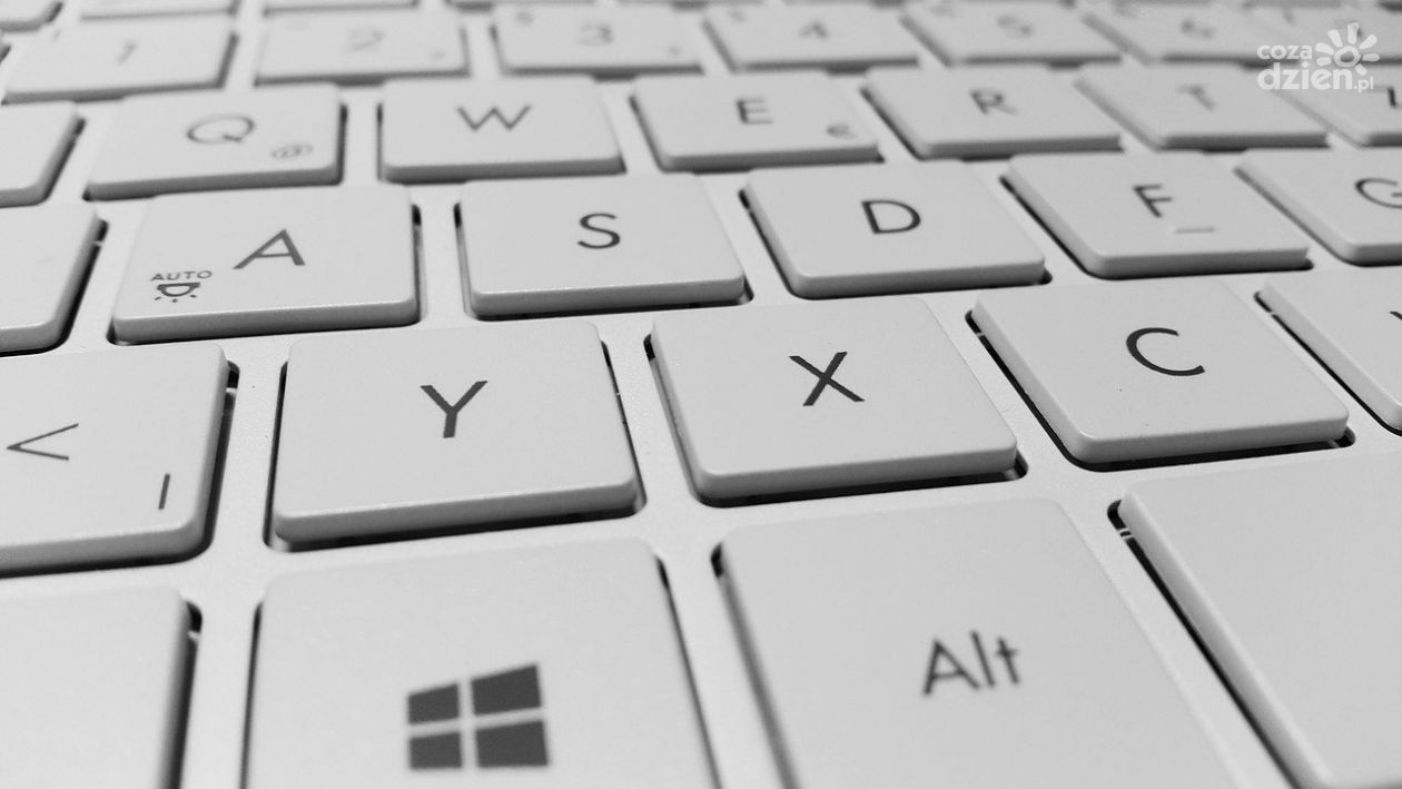 PUP organizuje webinarum dla pracodawców