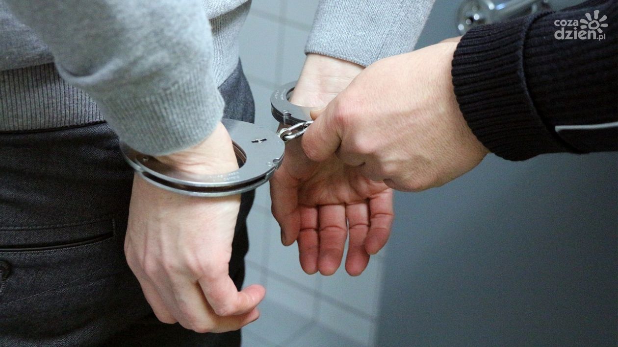 Bójka pod Mławą, pięciu zatrzymanych