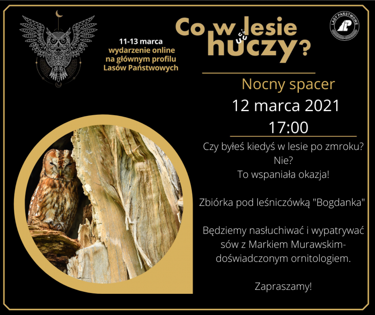 Co w lesie huczy?