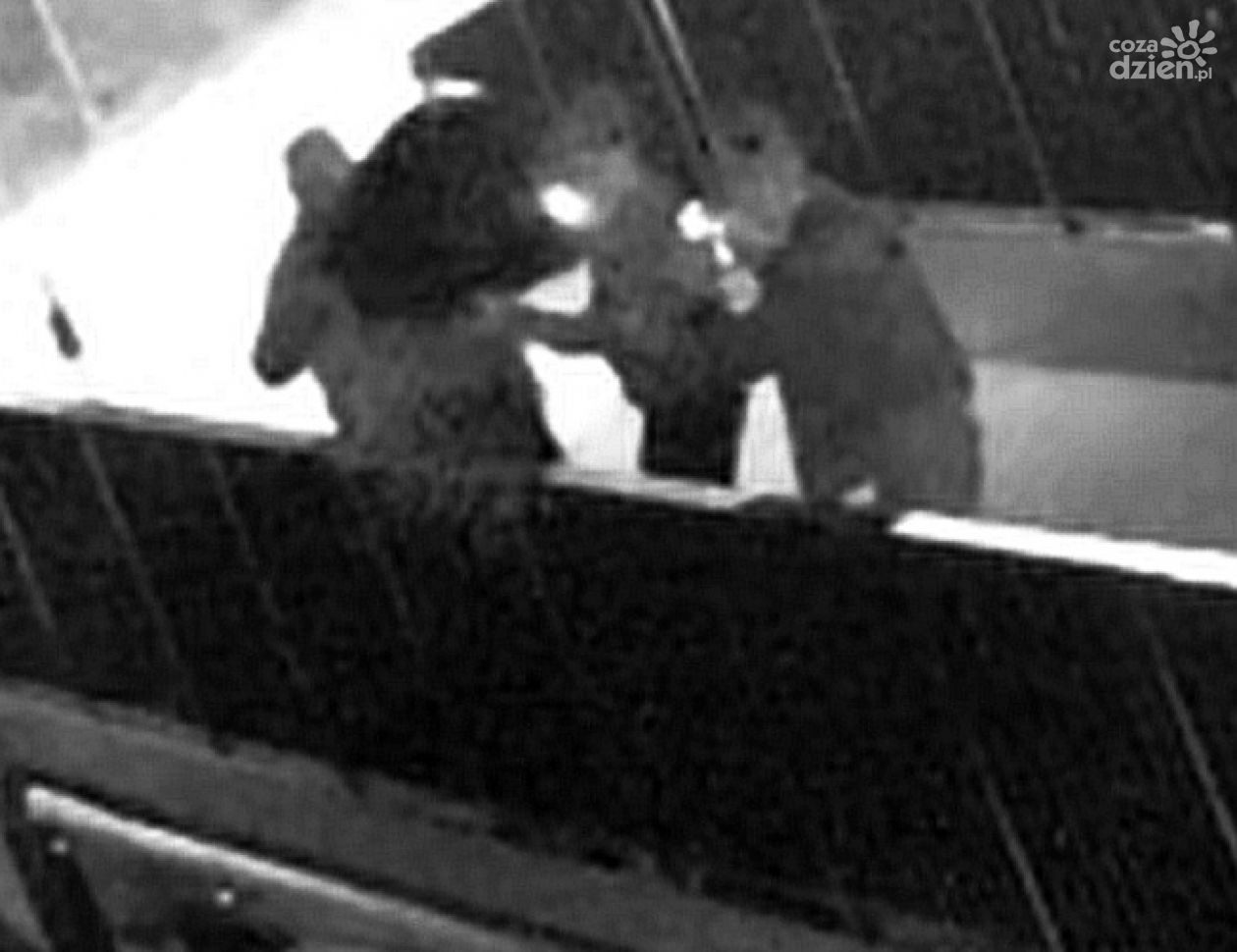 Z mostu zrzucili telewizor, są w rękach policji 