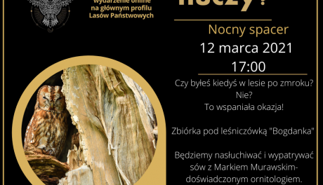 Co w lesie huczy? Nadleśnictwo Ciechanów zaprasza na nocy spacer