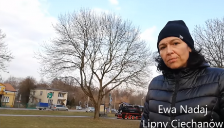 Ewa Nadaj: Tego pięknego jesionu pewnie nie uda się obronić przed siekierą
