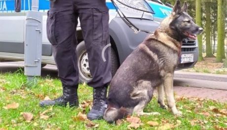 Nowy Krasnosielc. Pies wytropił złodzieja