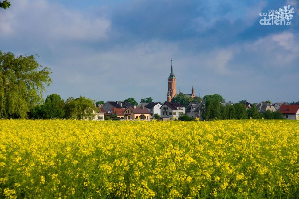 Baboszewianie chcą być mieszczanami. Ponad 60% mieszkańców gminy jest za uzyskaniem praw miejskich