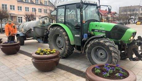 Ciechanów. Miasto ruszyło z wiosennymi porządkami!