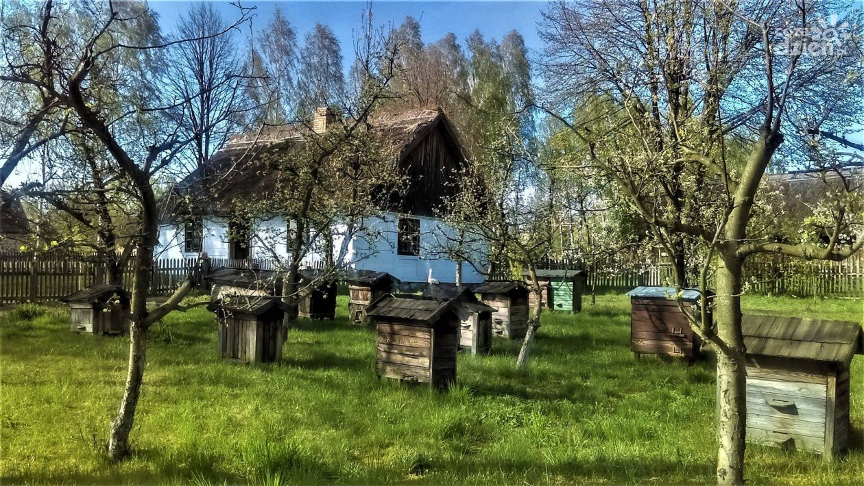Kobiety nago biegły do strumienia