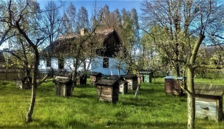 Chodzenie po oborniku, kąpiele nago - czyli o dawnych wielkanocnych zwyczajach Mazowsza