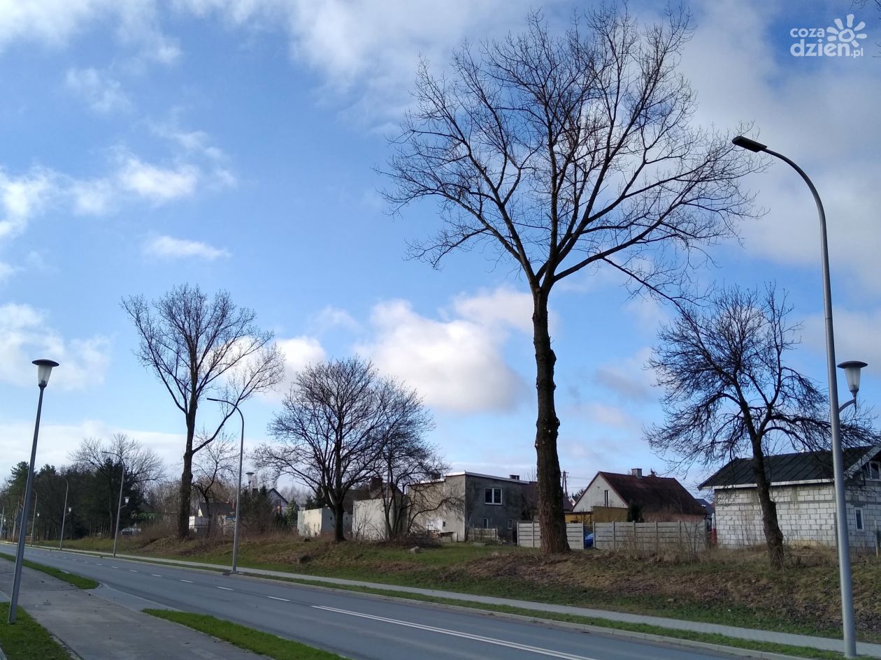 Cięcia, cięcia i jeszcze raz cięcia!