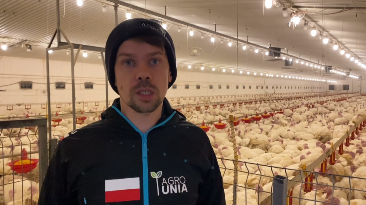 Kołodziejczak: Hodowcy się boją, że weterynaria będzie się mścić
