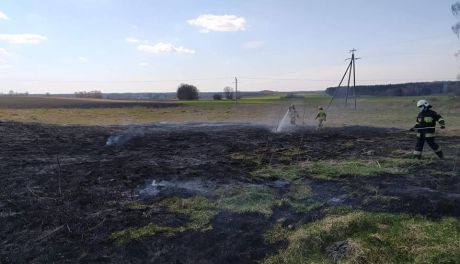 Zatrute dziecko w pożarze traw