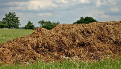 Radzanów. Mężczyzna igrał z ptasią grypą