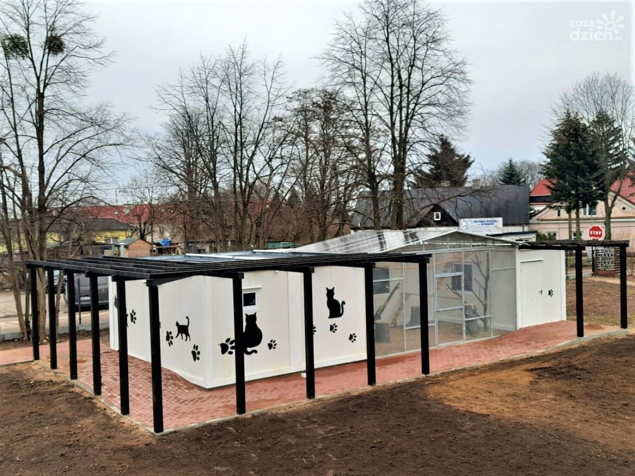 Ośrodek felinoterapi 