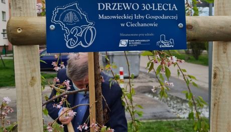 30 drzew na 30-lecie MIG. Rozpoczął się jubileusz!
