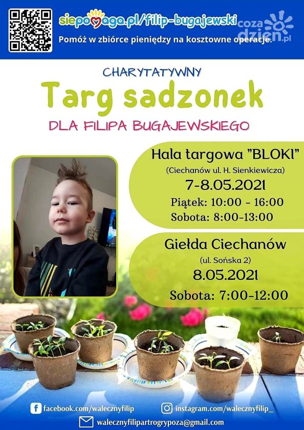 SADZONKI KUPUJESZ, ZDROWIE RATUJESZ