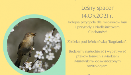 Co w lesie śpiewa?- przekonaj się!