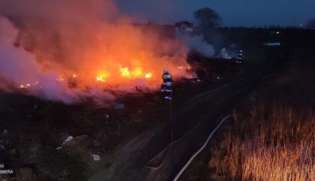 To nie był spokojny początek tygodnia dla strażaków! 