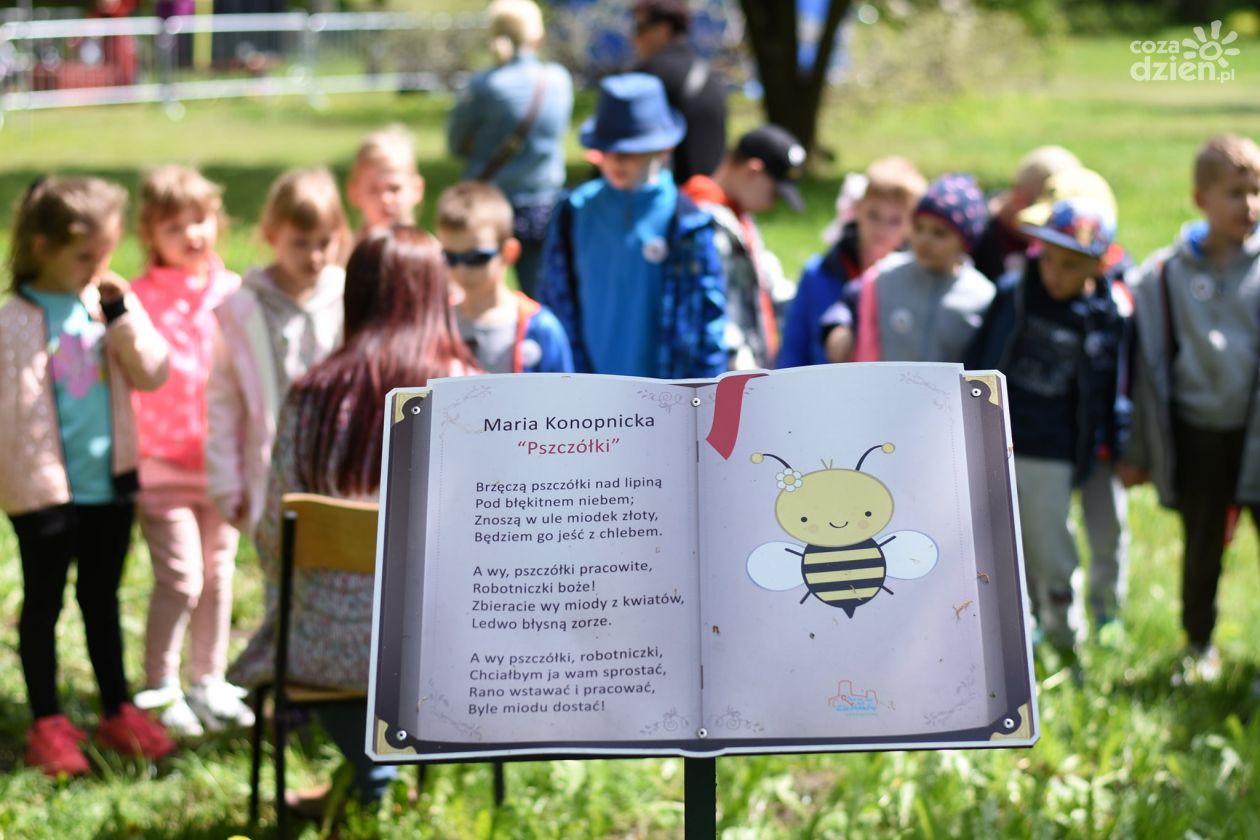 Zamiast sal lekcyjnych wybrały park?