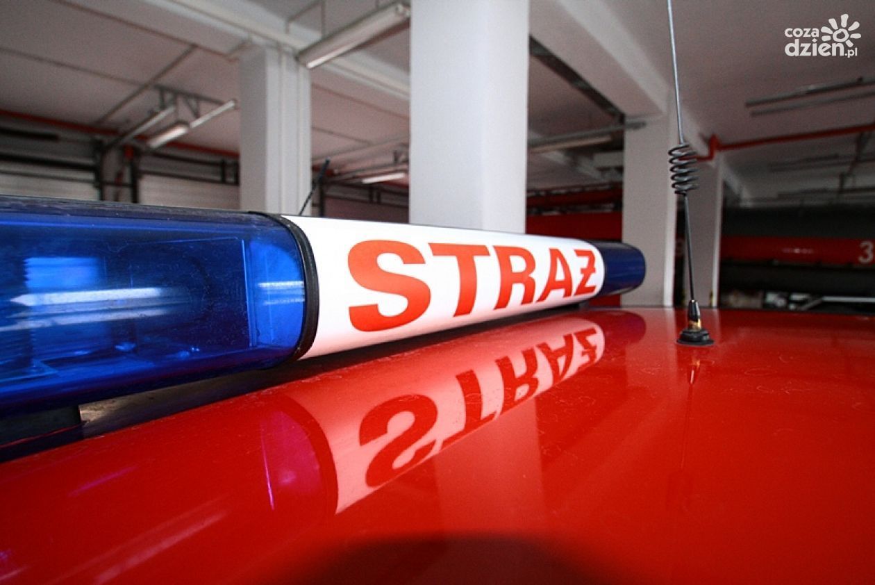 Bilans po burzy. Piorun uderzył w słup, wiatr przewrócił drzewo