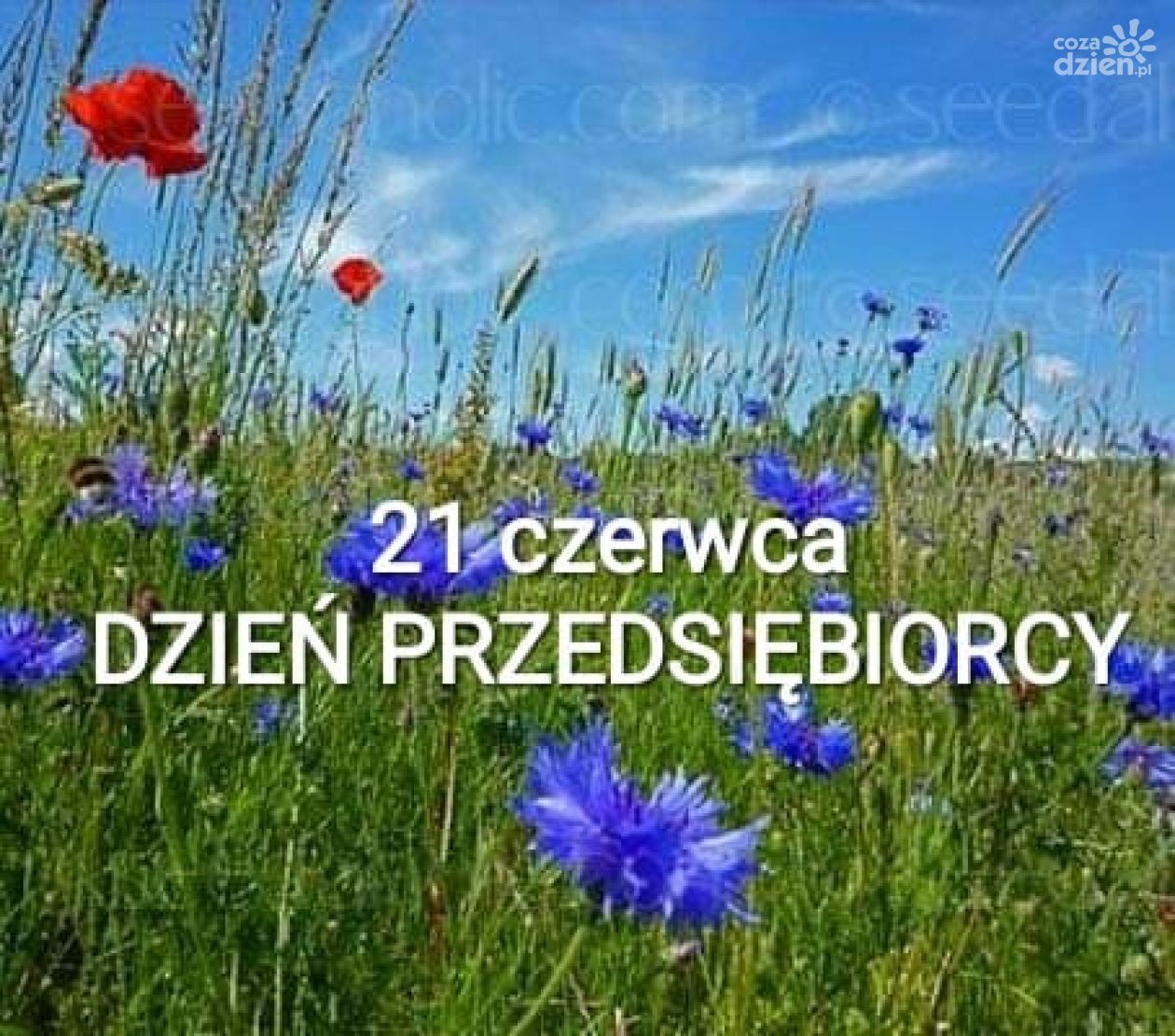 Świętuj z MIG i skorzystaj z bezpłatnych porad