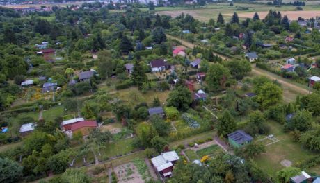 Ciechanów. Wsparcie dla ogrodów działkowych na inwestycje przyznane!