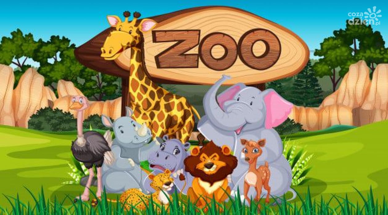 ZOOstań bohaterem!