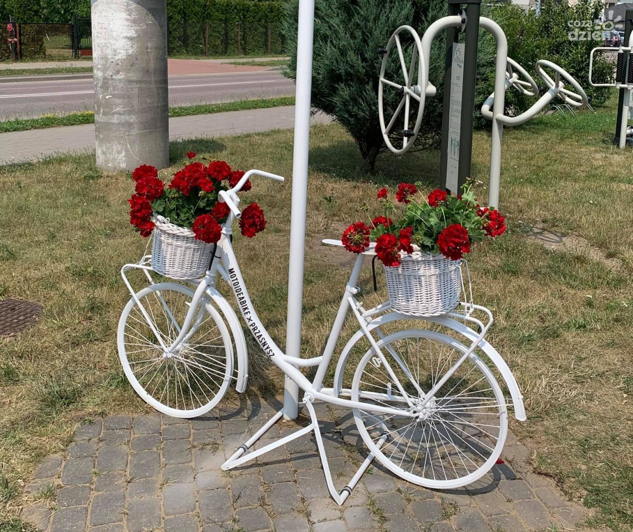 Ukwiecone rowerowe drogowskazy w Przasnyszu