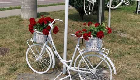 Ukwiecone rowerowe drogowskazy w Przasnyszu